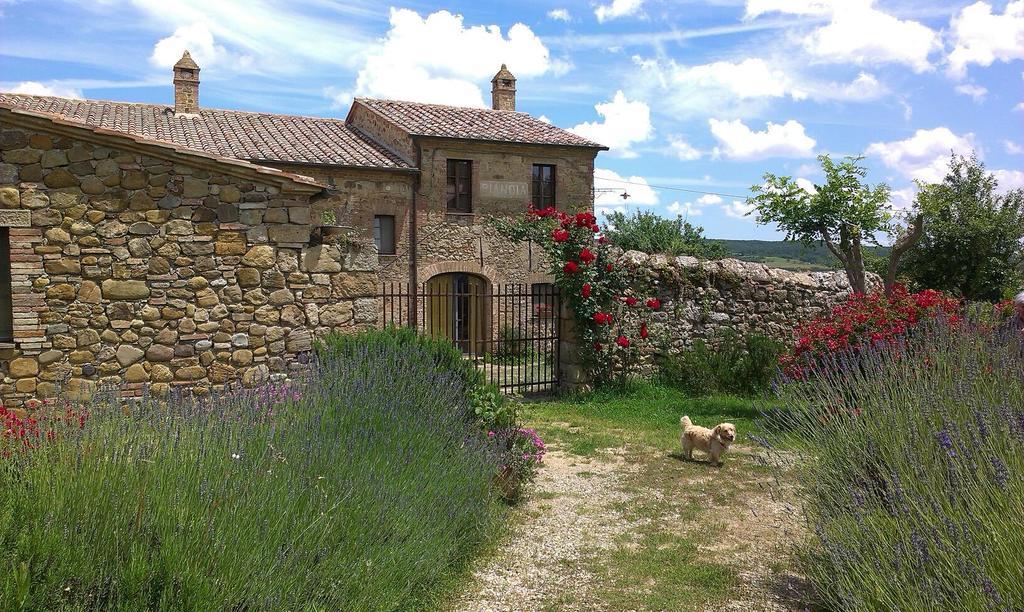 Agriturismo Pianoia 皮恩扎 外观 照片