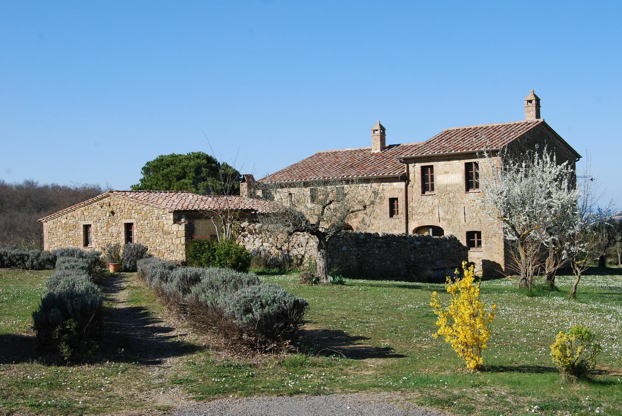 Agriturismo Pianoia 皮恩扎 外观 照片